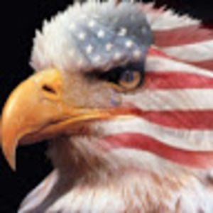 Meet your Posher, William vigil